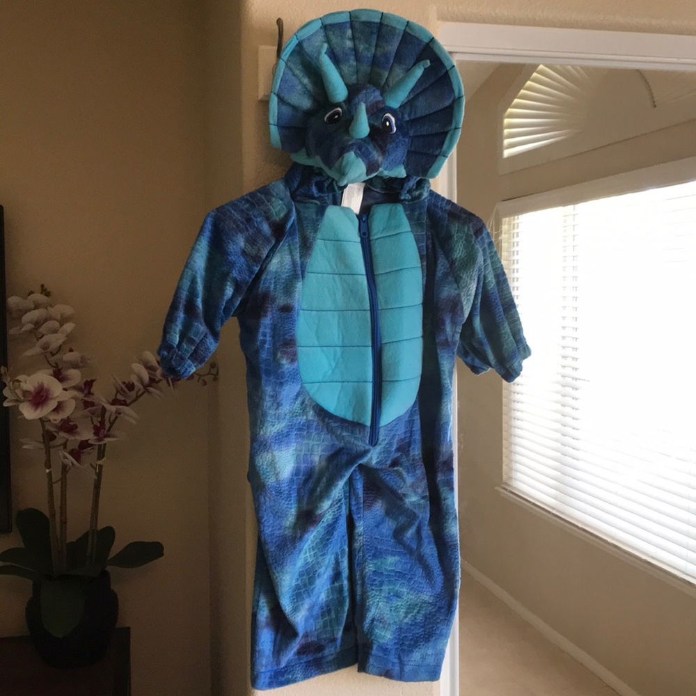 Dinosaur 🦕 costume